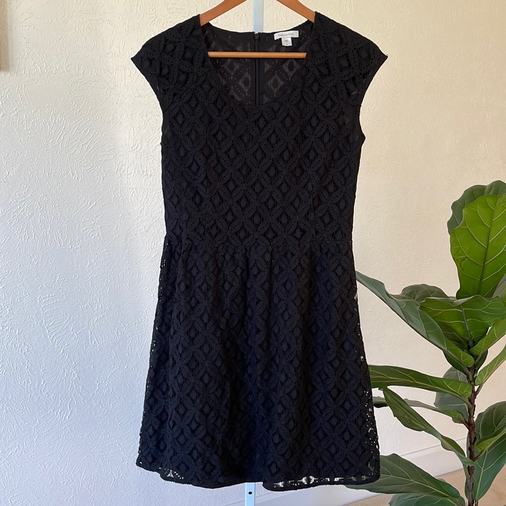 Garnet Hill beautiful medallion lace skater dress